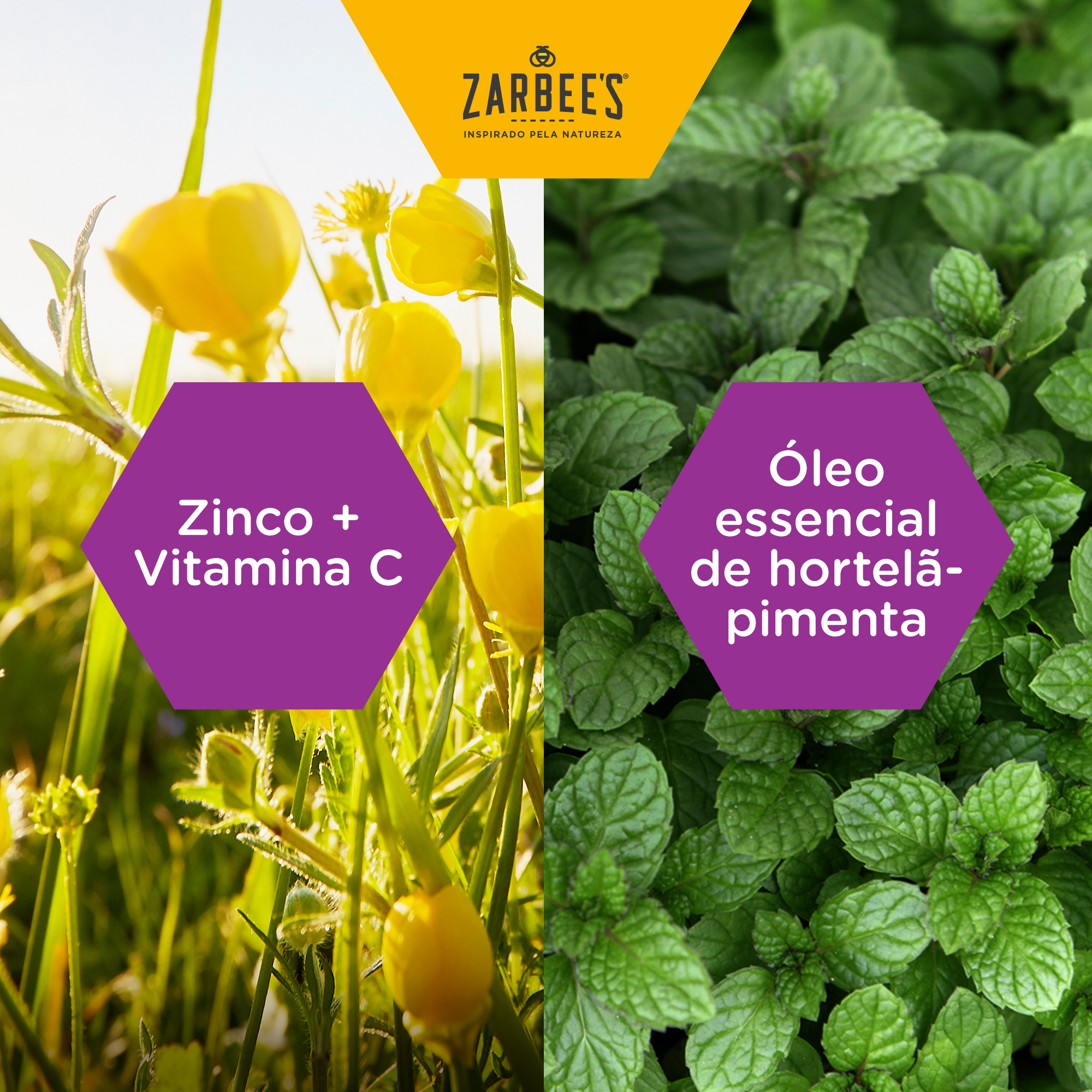 ZARBEE'S GARG&EXTRA IMUN MEL/LIM PSTX24