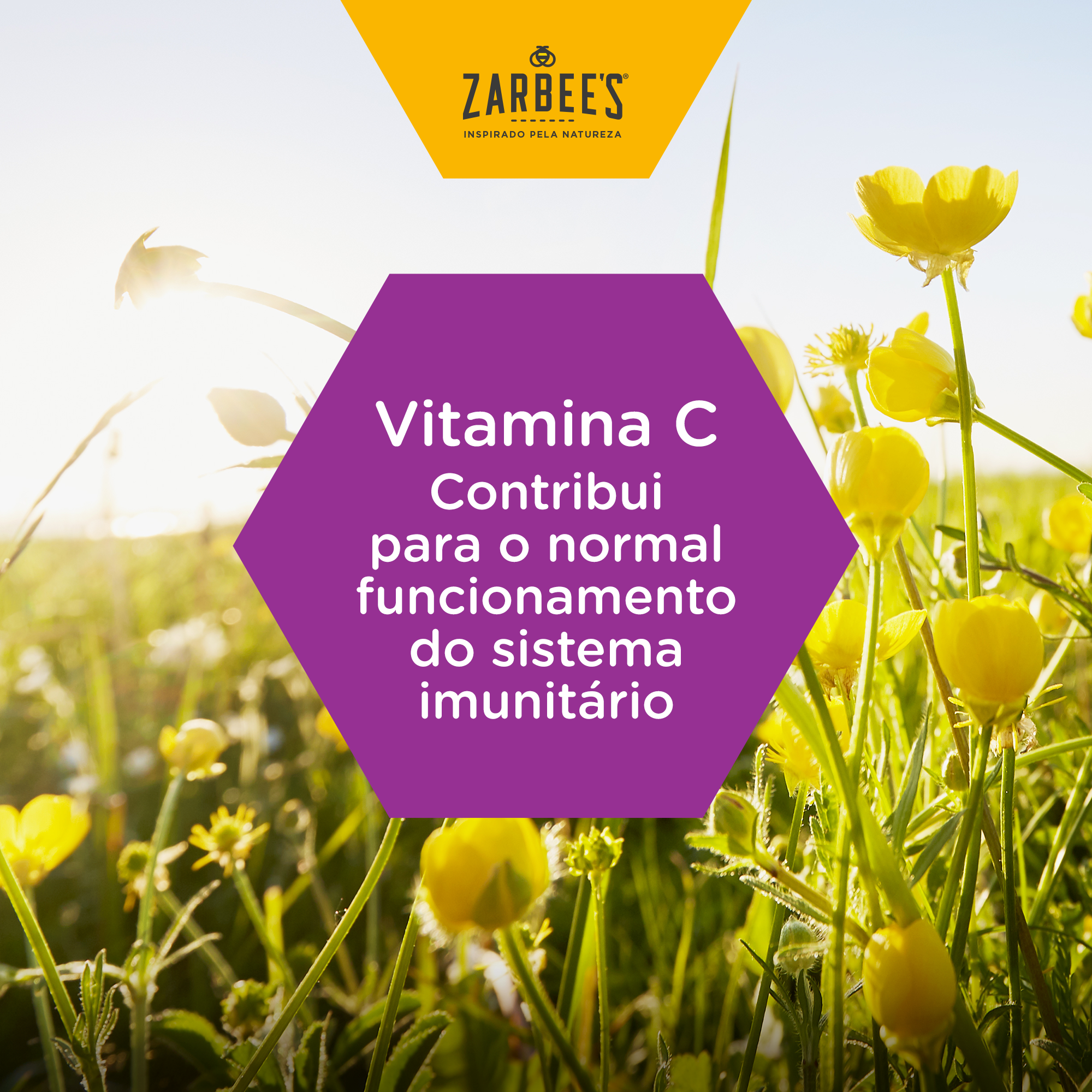 ZARBEE'S GARG&EXTRA IMUN MEL/LIM PSTX24