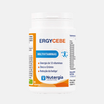 nutergia-ergycebe-90-capsules-7273623