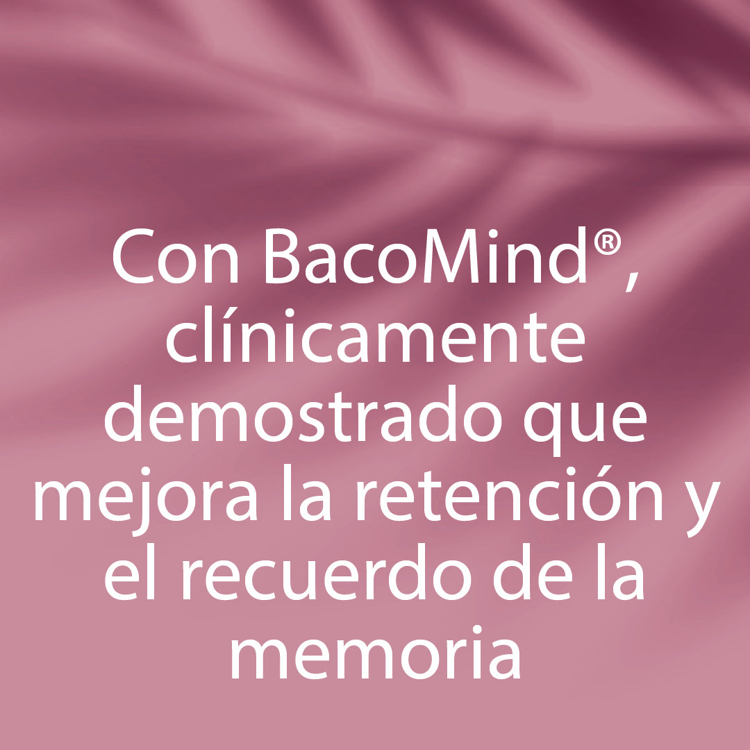 DR.VEGAN Brain Fuel  | Memória e foco, suplemento cerebral, BacoMind clinicamente testado | 30 Cápsulas | Uma cápsula por dia | Inclui Bacopa Monnieri 300mg, Ginkgo Biloba 150mg