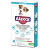 ATAXXA SOL PIP 500/100MG CAO 4-10KG