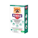 ATAXXA SOL PIP 500/100MG CAO 4-10KG