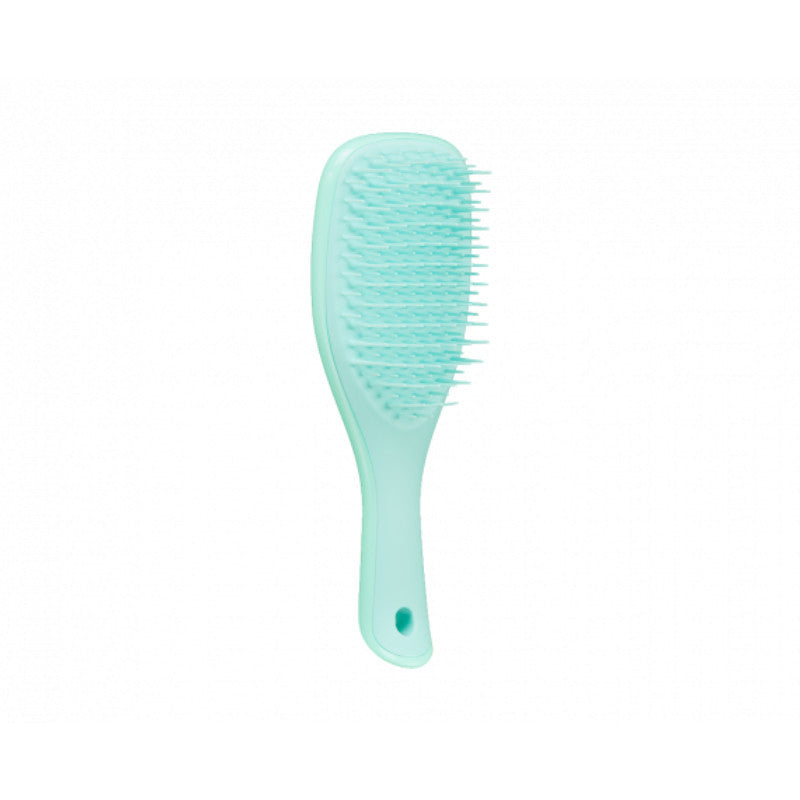 Tangle Teezer Detangler Mini Mint Lilac